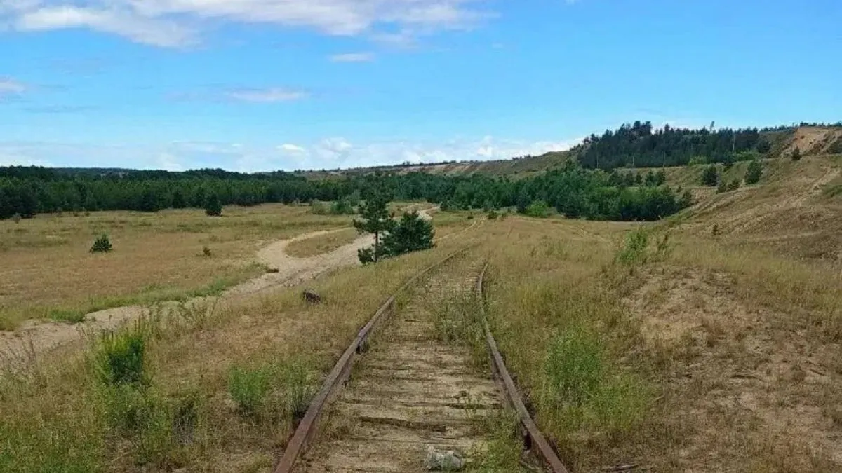 В Лисках пустующую железнодорожную ветку выставили на торги