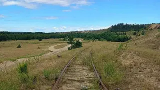 В Лисках пустующую железнодорожную ветку выставили на торги