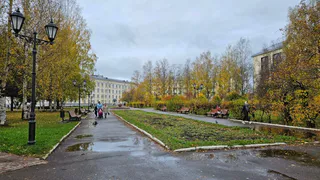 В Воронежской области прогноз на 15 октября обещает дожди и грозы