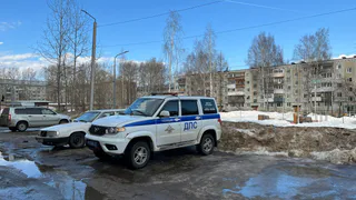 В Воронежской области автоинспекторы помогли мужчине завести машину в сильный мороз