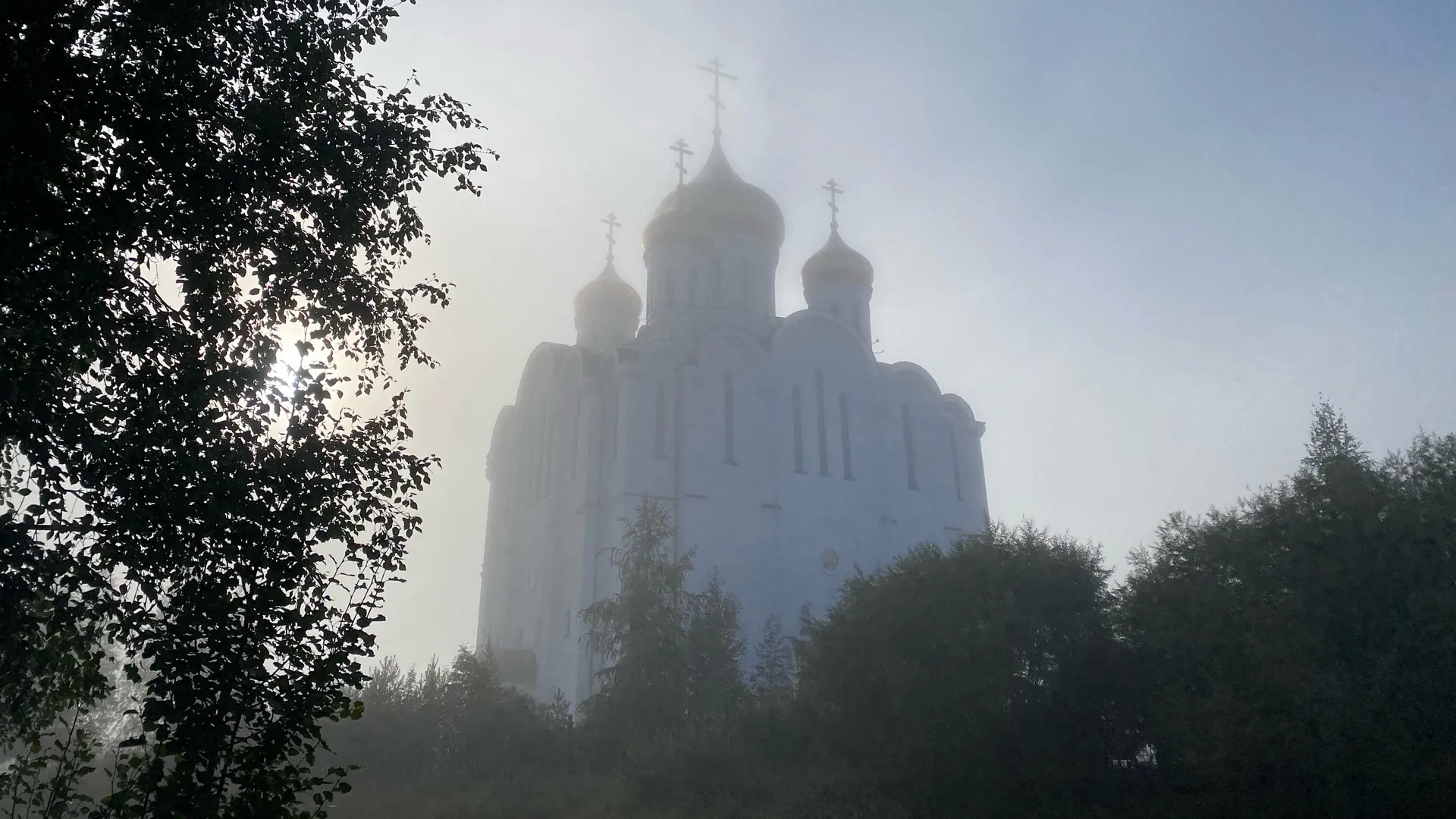 Погода в Воронежской области на 4 сентября: туман, дожди с грозами и до +28 градусов