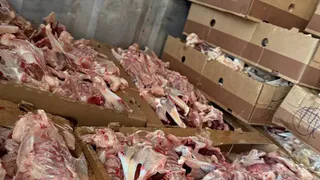 Подпольную фабрику мясных полуфабрикатов ликвидировали в Воронежской области