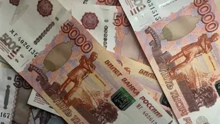 В Воронежской области многодетные семьи могут получить 450 тысяч рублей на погашение ипотеки