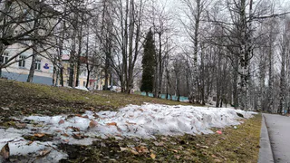 В Воронежской области 25 марта ожидается до +13 градусов и туман утром
