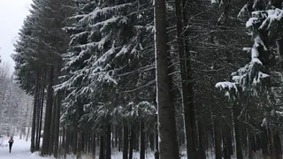 Аномальные морозы продолжатся: прогноз погоды в Воронежской области на 4 февраля