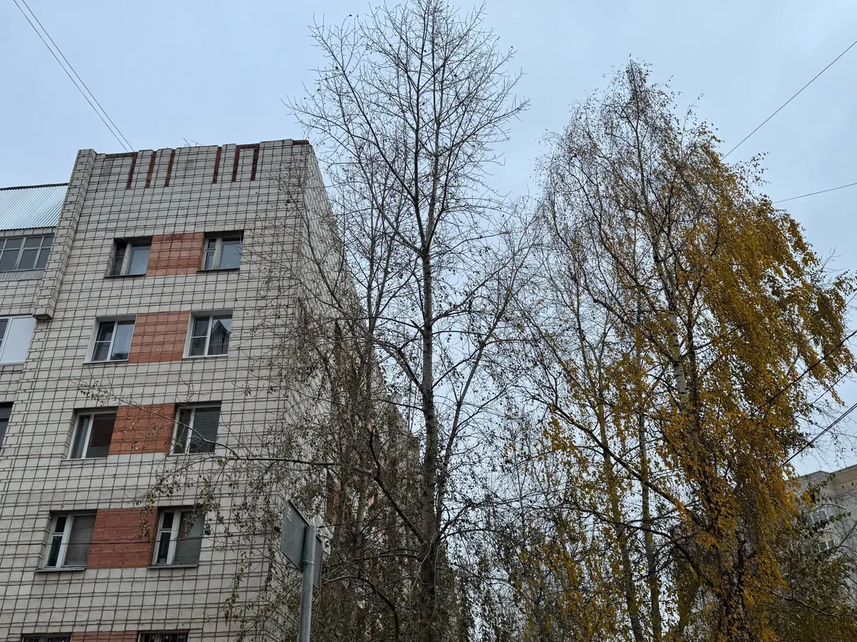 В Воронежской области 24 октября установится прохладная погода с восточным ветром