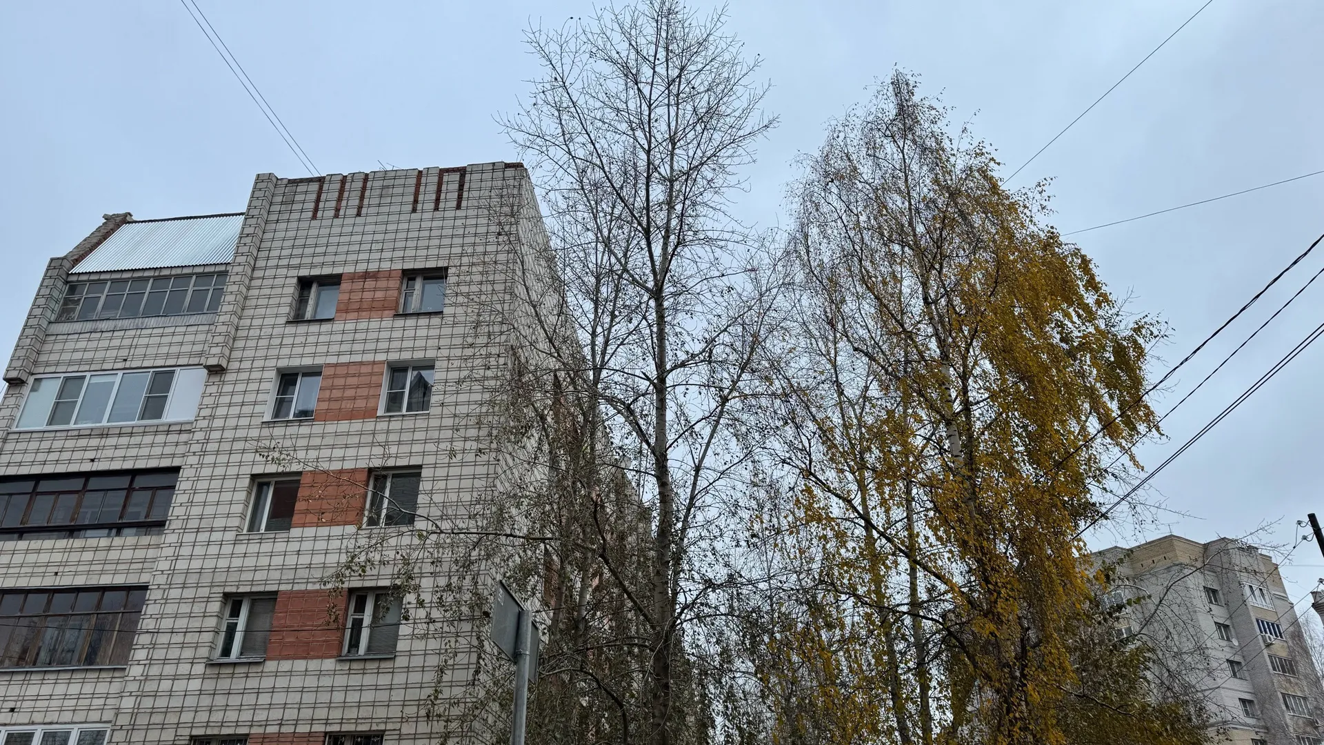 В Воронежской области 24 октября установится прохладная погода с восточным ветром