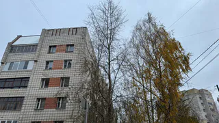 В Воронежской области 24 октября установится прохладная погода с восточным ветром