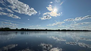 Тепло и солнечно: 17 июля в Воронежской области