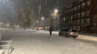 Зима наступит быстро: когда выпадет первый снег, сказали синоптики