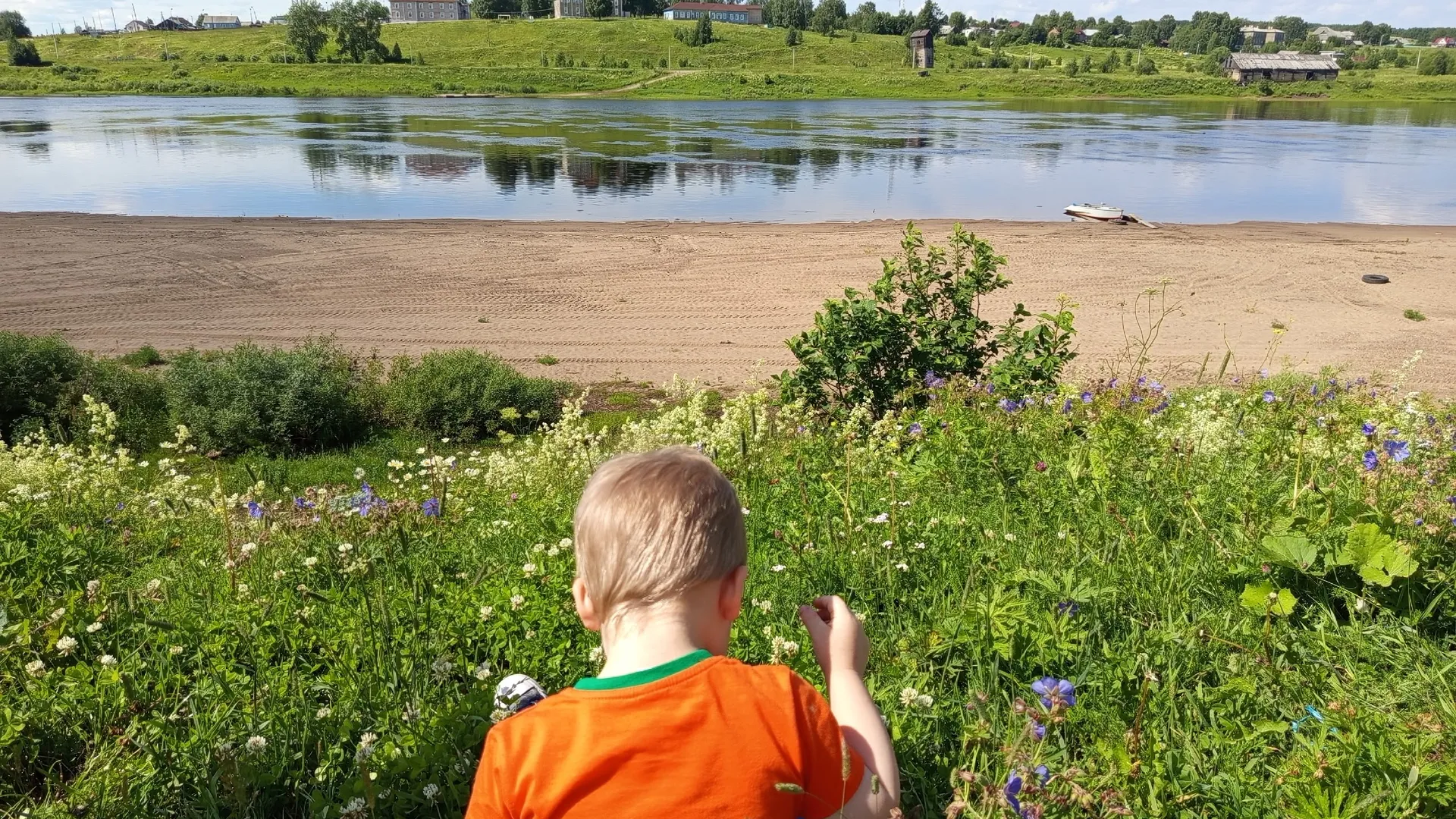 В Воронежской области введена новая выплата для родителей, имеющих двух и более детей