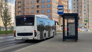 В Лисках облагородят места остановок общественного транспорта