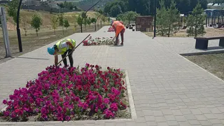 В Лисках коммунальщики косят траву, пропалывают клумбы и латают ямы на дорогах