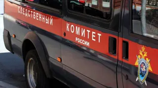 В Воронежской области после публикации в соцсетях возбудили дело о ненадлежащей медпомощи девочке