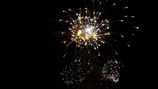 Жители Воронежской области проигнорировали запрет на салюты в новогоднюю ночь