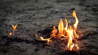 В Воронежской области с 14 августа вводят запрет на посещение лесов в семи районах