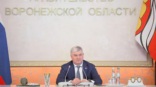 Власти Воронежской области расширят поддержку многодетных семей