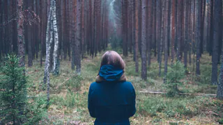 10 смертельных опасностей в наших лесах, о которых почему то молчат грибники. Вы удивитесь, но это правда