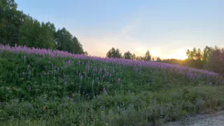 Воронежцев предупредили о сильной магнитной буре, которая стартует вечером 4 июня