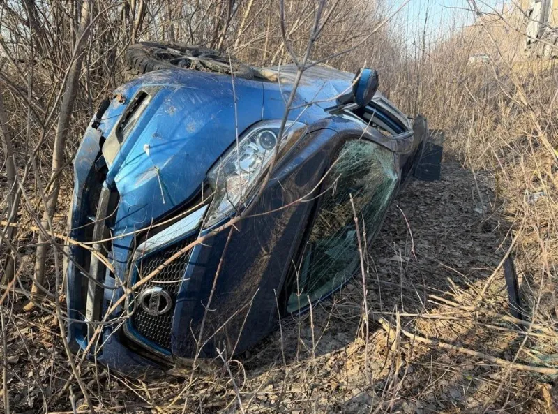 В Воронежской области женщина на иномарке столкнулась с грузовиком