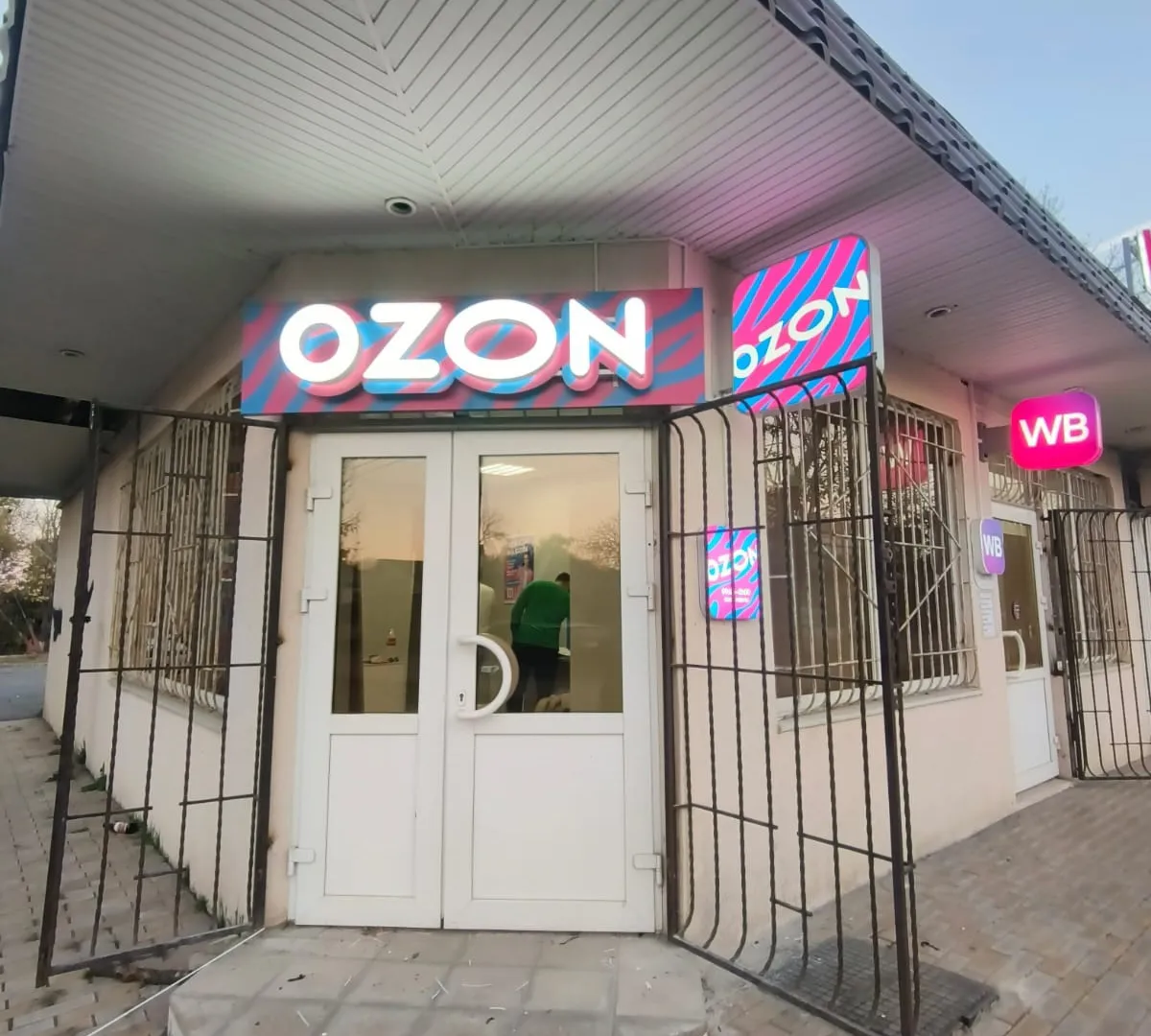 Что возьмем на Новый год с Wildberries и Ozon: 30 крутых товаров