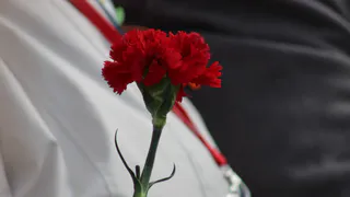 В Лисках продолжается благотворительная акция «Красная гвоздика»