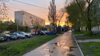 Прохлада отступает: Воронежская область готовится к теплому воскресенью