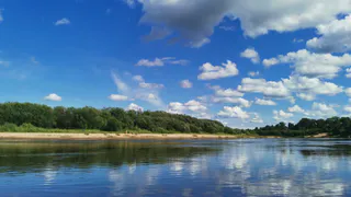В Лисках и Воронеже санитарные врачи признали опасными для купания шесть пляжей из-за грязной воды