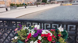 Из столицы Черноземья в культурную: Воронеж претендует на почётное звание