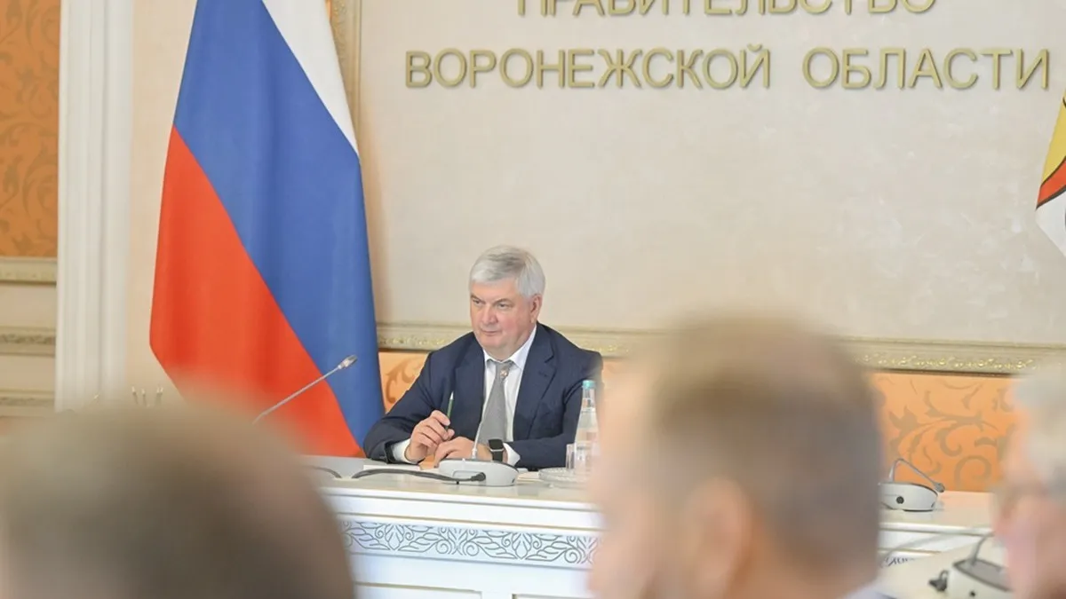 Стратегию развития Воронежской области до 2035 года пересмотрят к концу 2026 года