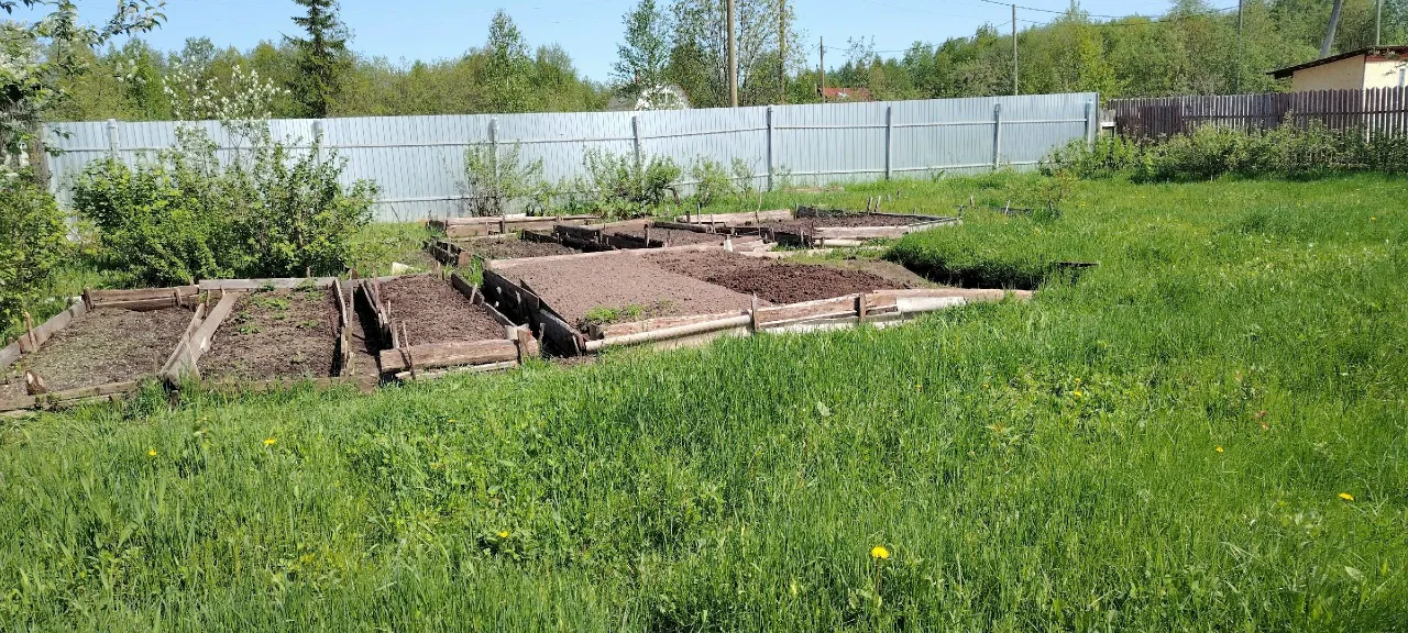 Бесплатное удобрение, которое лежит под ногами: не выбрасывайте ботву с огорода — осенью она еще пригодится