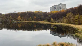 В Воронежской области 26 октября ожидаются дожди и туман