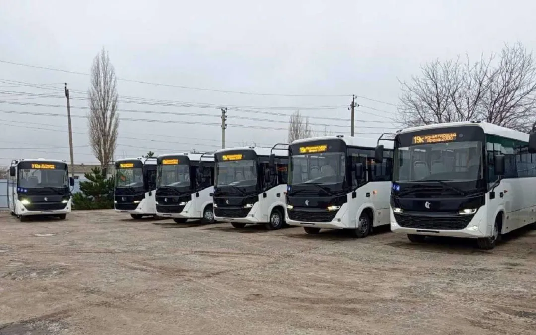 В Воронежской области запустят 16 новых автобусных маршрутов в пяти районах