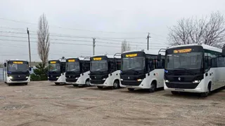 В Воронежской области запустят 16 новых автобусных маршрутов в пяти районах