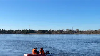 В Воронежской области затопило поселения Ольховатовского района 