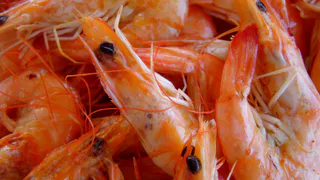 Ученые назвали самые полезные морепродукты - не креветки, не кальмары и в 4 раза полезнее икры