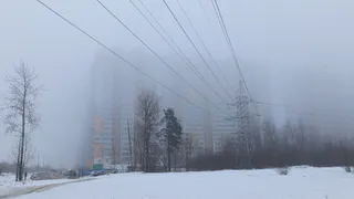 Снег с дождем и туман ожидаются в Воронежской области 27 февраля