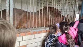 Школьники из Лисок побывали на конезаводе и в Доме ремёсел