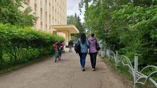 Лискинский промышленно-транспортный техникум поздравили с 95-летним юбилеем