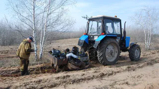 Давыдовское лесничество под Лисками стало лидером Воронежской области по весеннему лесовосстановлению