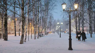 Только эти три знака зодиака будут купаться в золоте до конца марта
