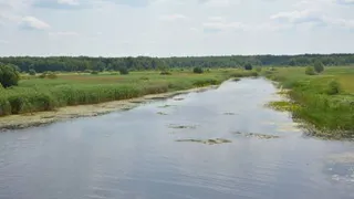 Экологи обследуют Воронежское водохранилище за 1,8 миллиона рублей до конца года