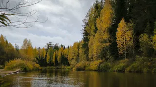 В Лисках юных горожан приглашают на осеннюю сказку и творческий мастер-класс