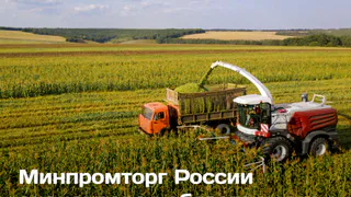 В Воронежской области яровыми культурами засеяли почти 340 тысяч гектаров к началу мая