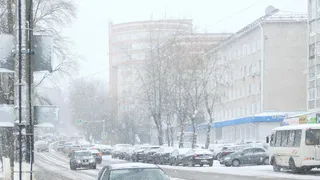 Воронежскую область 6 марта накроет мокрый снег