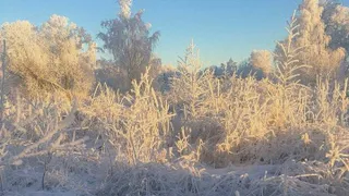 Аномально холодный антициклон захватит регион: прогноз погоды в Воронежской области на 2 февраля