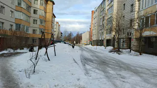 Зима наступит быстро: синоптики сообщили, когда выпадет первый снег