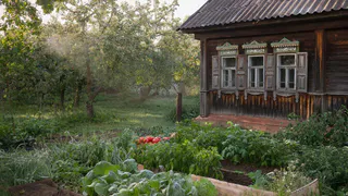 Мусор, который точно работает намного лучше навоза: надо просто приготовить домашний ускоритель компоста.