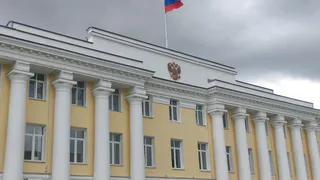 Улицы Воронежа на День города украсят 1643 флагами