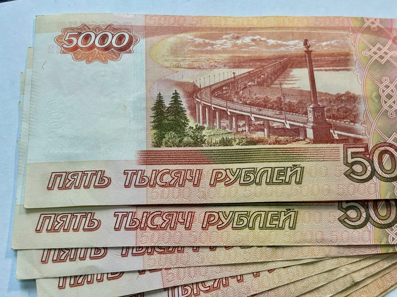 В Воронежской области задержали девушку, через счета которой проходили похищенные деньги